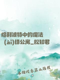 哈利波特中的魔法師與愛(ài)情公寓