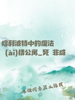 哈利波特中的魔法師與愛(ài)情公寓