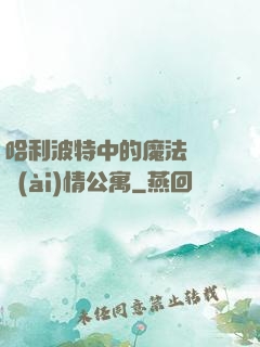 哈利波特中的魔法師與愛(ài)情公寓