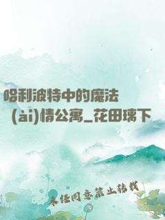 哈利波特中的魔法師與愛(ài)情公寓