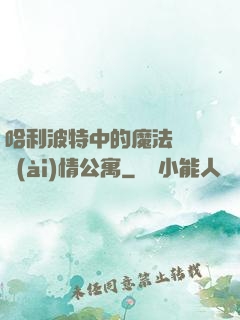 哈利波特中的魔法師與愛(ài)情公寓