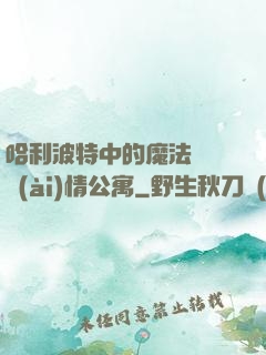 哈利波特中的魔法師與愛(ài)情公寓