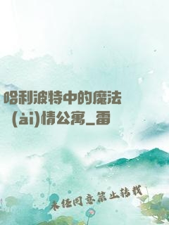 哈利波特中的魔法師與愛(ài)情公寓