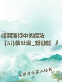 哈利波特中的魔法師與愛(ài)情公寓