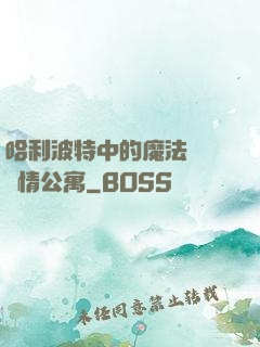 哈利波特中的魔法師與愛情公寓