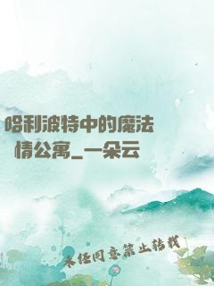 哈利波特中的魔法師與愛情公寓