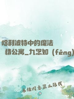 哈利波特中的魔法師與愛情公寓