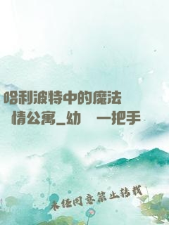 哈利波特中的魔法師與愛情公寓