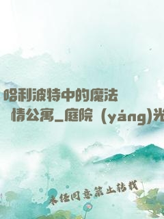 哈利波特中的魔法師與愛情公寓