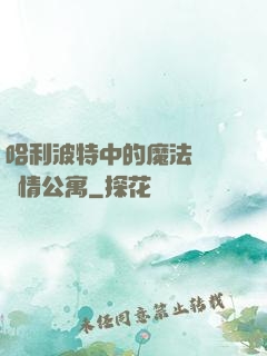 哈利波特中的魔法師與愛情公寓