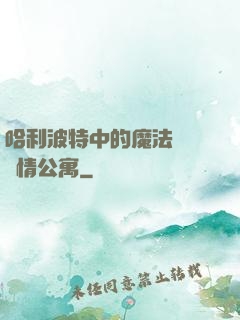 哈利波特中的魔法師與愛情公寓