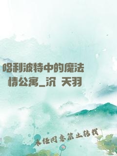 哈利波特中的魔法師與愛情公寓