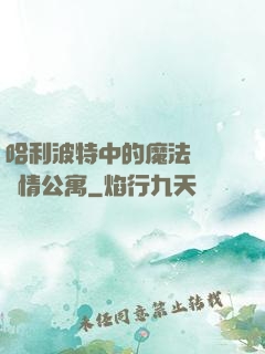 哈利波特中的魔法師與愛情公寓