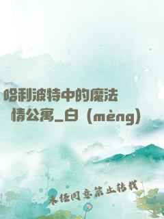 哈利波特中的魔法師與愛情公寓