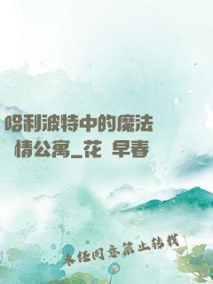 哈利波特中的魔法師與愛情公寓