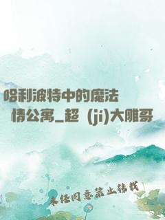 哈利波特中的魔法師與愛情公寓