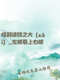 哈利波特之大災(zāi)難