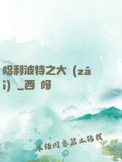 哈利波特之大災(zāi)難