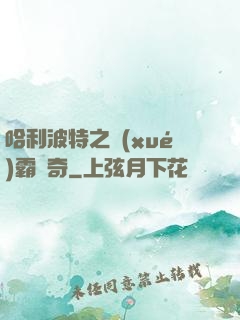 哈利波特之學(xué)霸傳奇
