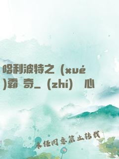 哈利波特之學(xué)霸傳奇