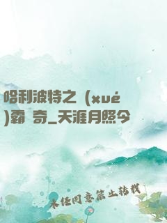 哈利波特之學(xué)霸傳奇