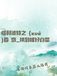 哈利波特之學(xué)霸傳奇