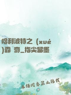 哈利波特之學(xué)霸傳奇