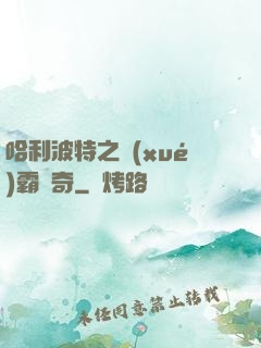哈利波特之學(xué)霸傳奇