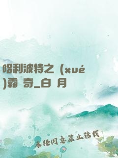 哈利波特之學(xué)霸傳奇