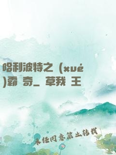 哈利波特之學(xué)霸傳奇