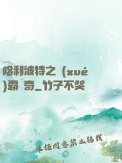 哈利波特之學(xué)霸傳奇