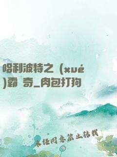 哈利波特之學(xué)霸傳奇
