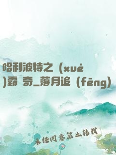 哈利波特之學(xué)霸傳奇