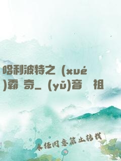 哈利波特之學(xué)霸傳奇