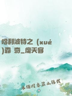 哈利波特之學(xué)霸傳奇