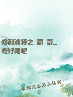 哈利波特之學霸傳奇