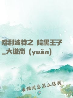 哈利波特之獅院黑王子