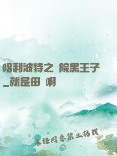 哈利波特之獅院黑王子