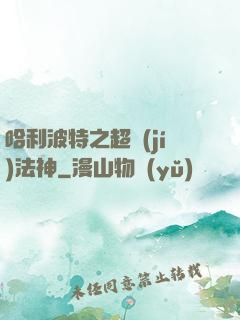 哈利波特之超級(jí)法神