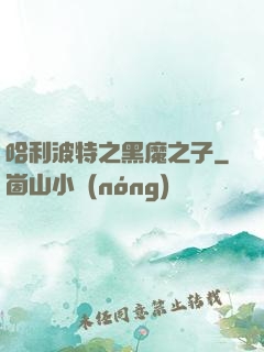 哈利波特之黑魔之子