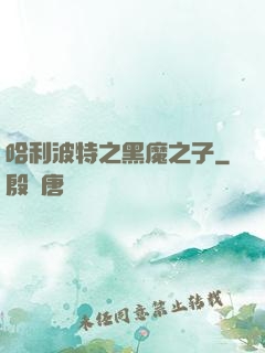 哈利波特之黑魔之子