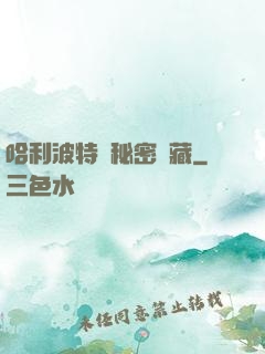 哈利波特與秘密寶藏