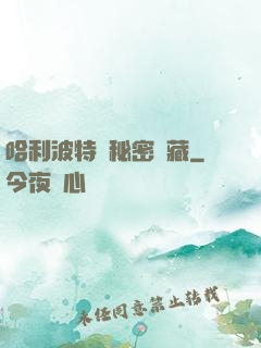 哈利波特與秘密寶藏