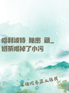 哈利波特與秘密寶藏
