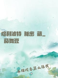 哈利波特與秘密寶藏