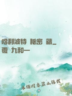 哈利波特與秘密寶藏