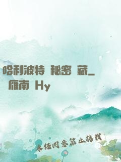 哈利波特與秘密寶藏