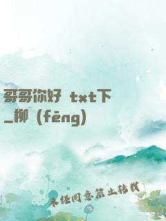 哥哥你好壞txt下載