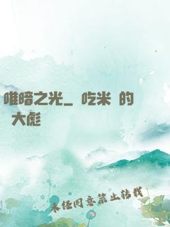 唯暗之光