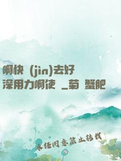 啊快進(jìn)去好深用力啊使勁